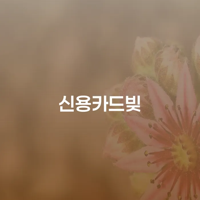 부채증명원발급 개인파산 살펴보세요
